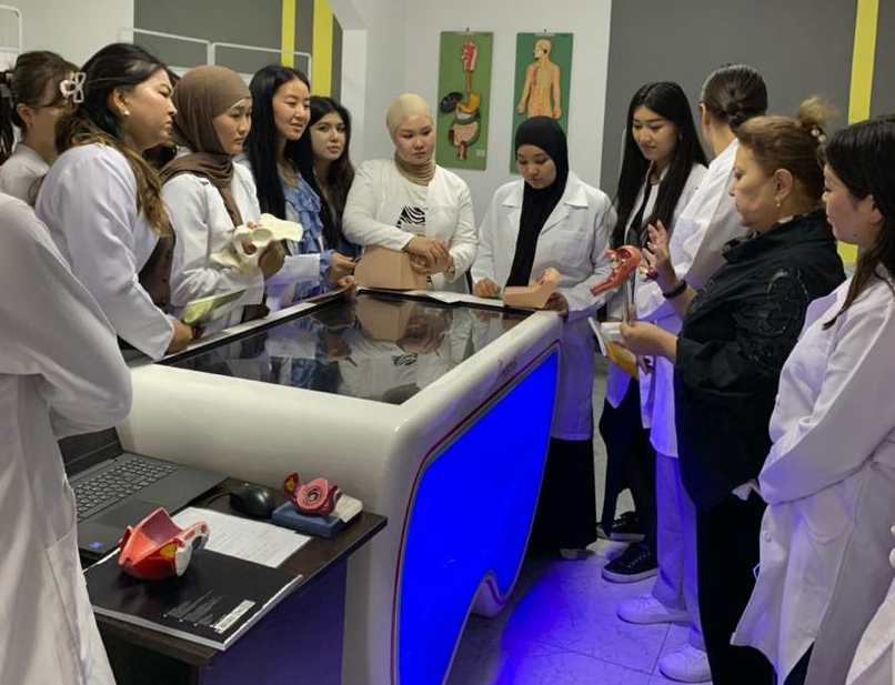 Интерактивный анатомический стол «Пирогов».